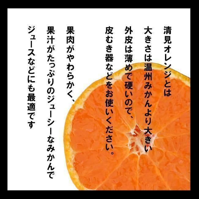 清見みかん 3kg