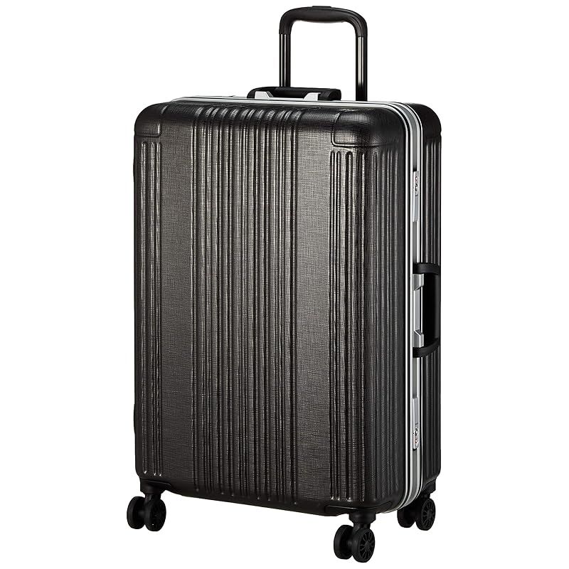 シフレ ハードフレームケース 中型 Mサイズ 付き SIF1065-58 60L 58cm 4.4kg SIF1065-58 ヘアラインガンメタ HLガンメタ 1