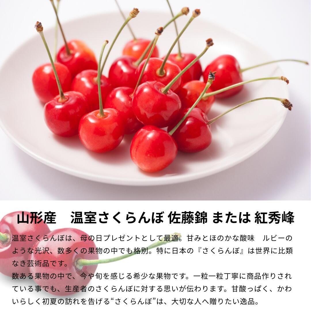 4種 カーネーション
