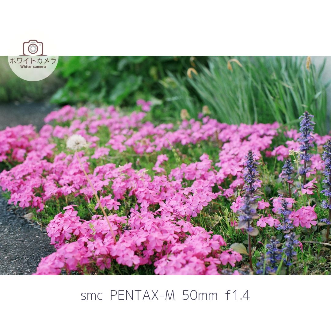 |smc PENTAX-M