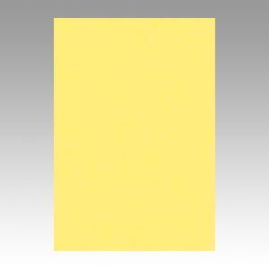 クーポン配布中-スーパー 対象 まとめ 色画用紙 文運堂 ニューカラーＲ 黄色 8NCR-108 4954022681081 1冊 ×10セット
