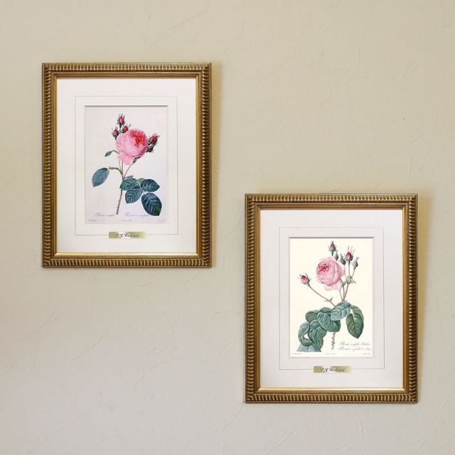 【2枚組】イタリア製 ルドゥーテ 薔薇 花 額絵 スクエア 絵画 楽天市場】絵画 インテリア ルドゥーテ ローズ 絵額 複製画