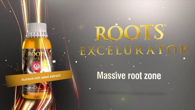 GOLD500ml｜固形培地用