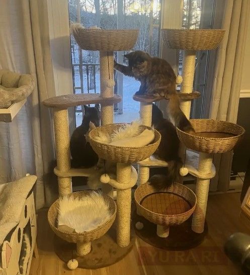 耐久 高品質