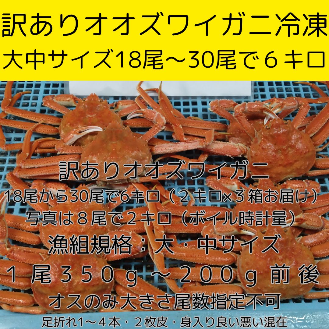 アムウェイ 鍋 クィーン 大フライパン ロールケーキ 揚げ物 焼き魚