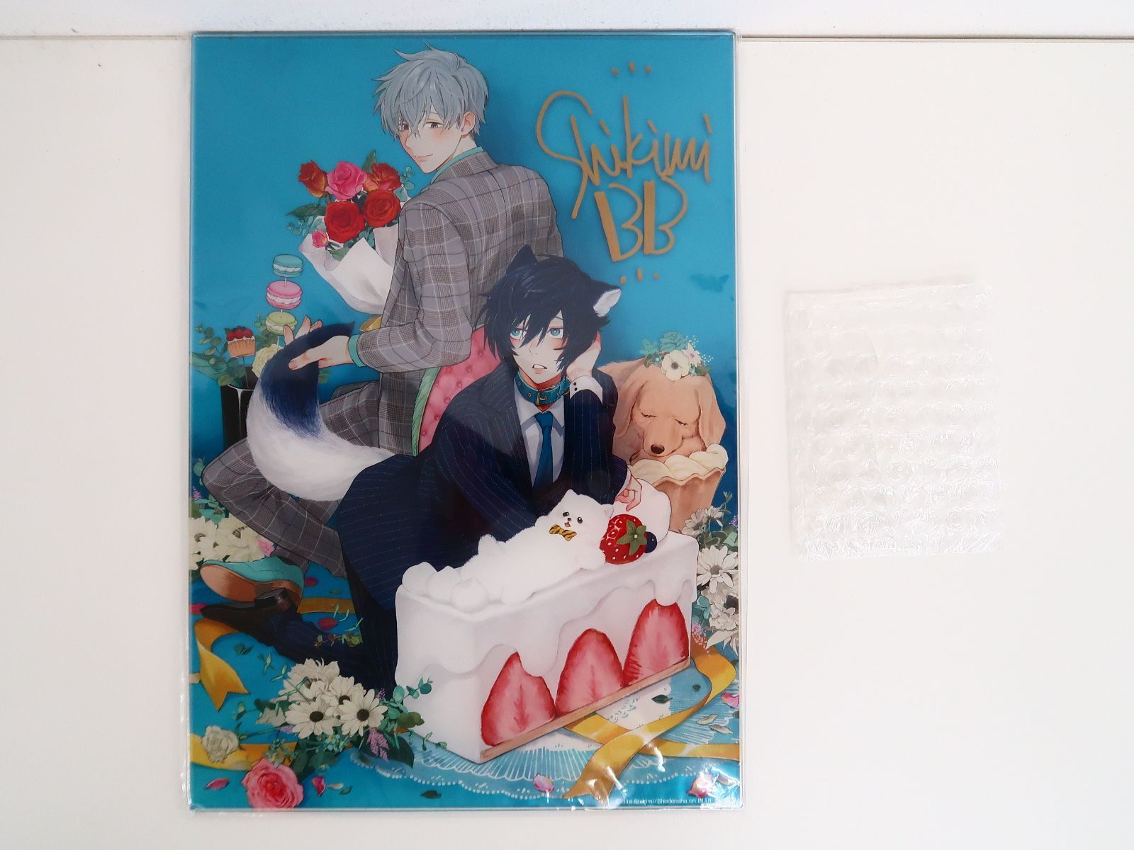 志木見ビビ「服従と甘噛み」アクリルプレート 未開封】 直筆サイン入り アクリルプレート 服従と甘噛み 志木見ビビ