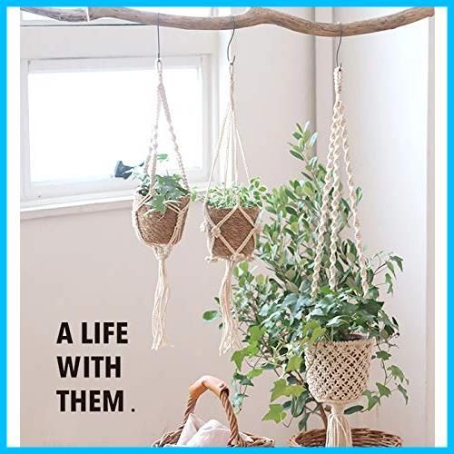 在庫セール お部屋のインテリアにマッチした観葉植物をハンギング