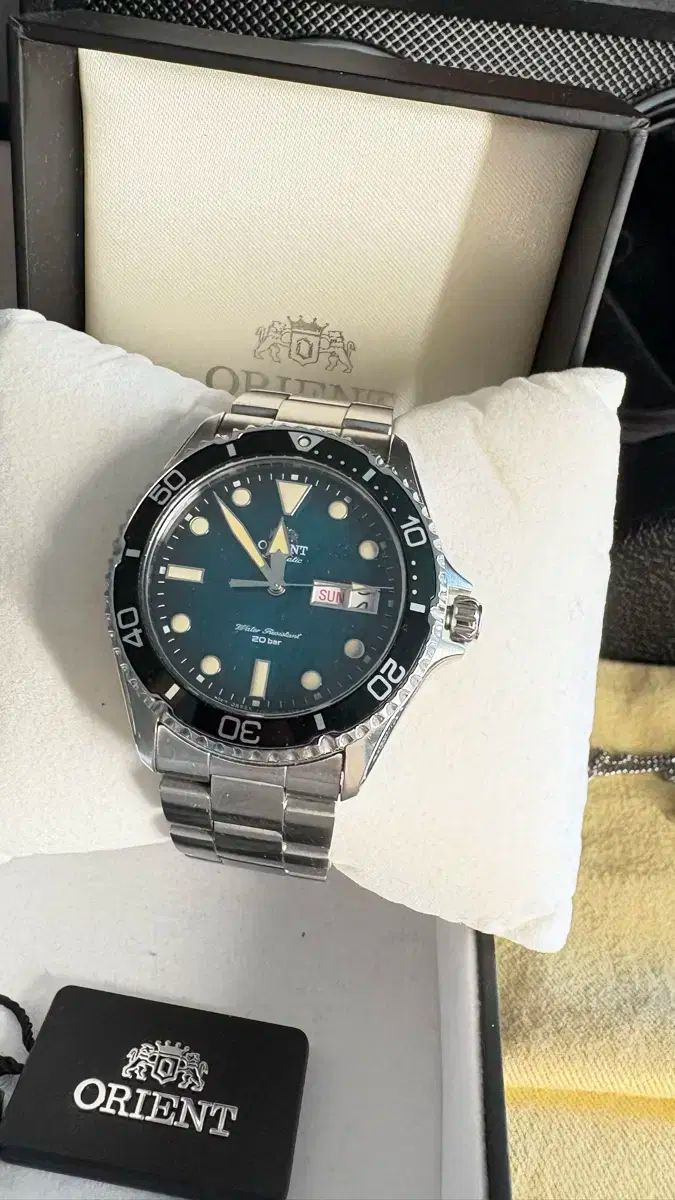 オリエントカマス緑