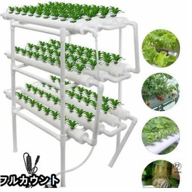 水耕栽培キット 野菜 栽培キット すいこう栽培キット 室内 いちご 家庭菜園 水耕栽培セット プランター g6gi196
