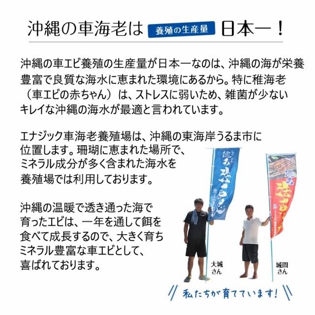 メルカリshops 車えび 加熱用 Mサイズ 還元活〆 海老 エビ 沖縄 名産 お正月