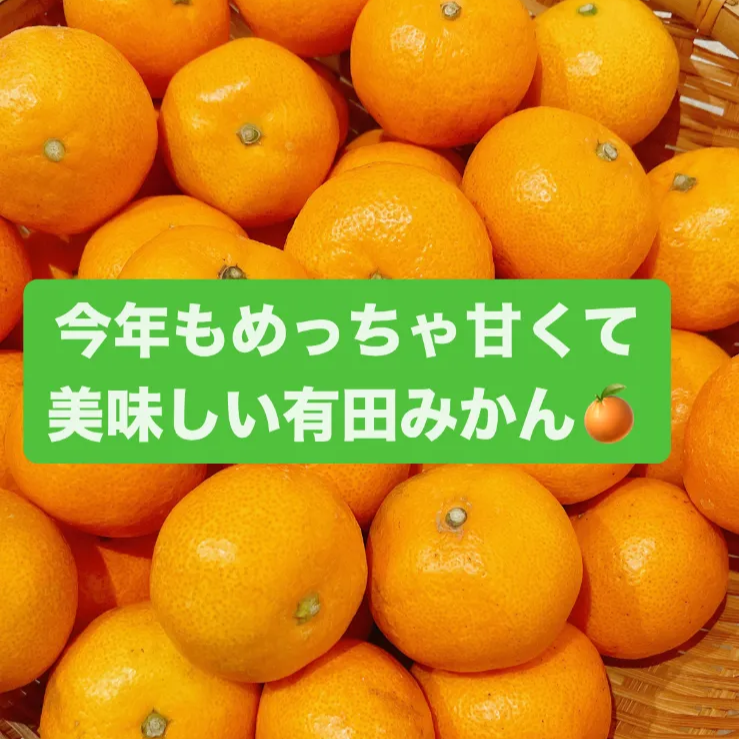 有田みかん🍊1kgＢ級品 3s〜Mサイズ甘いよ😋 味はA級品！！