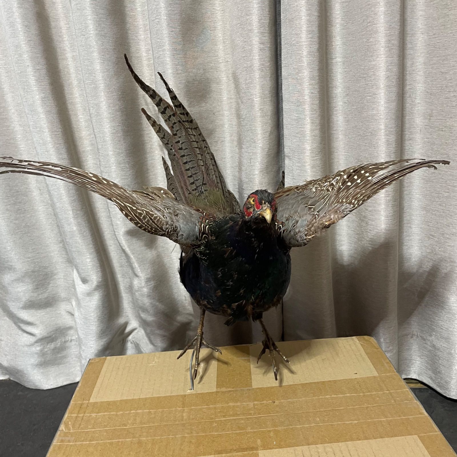 鳥 キジ オブジェ Amazon.co.jp: キジの置物 卓上装飾 - オーナメント 鳥