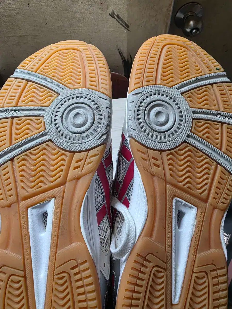 バドミントン スポーツ大学入試