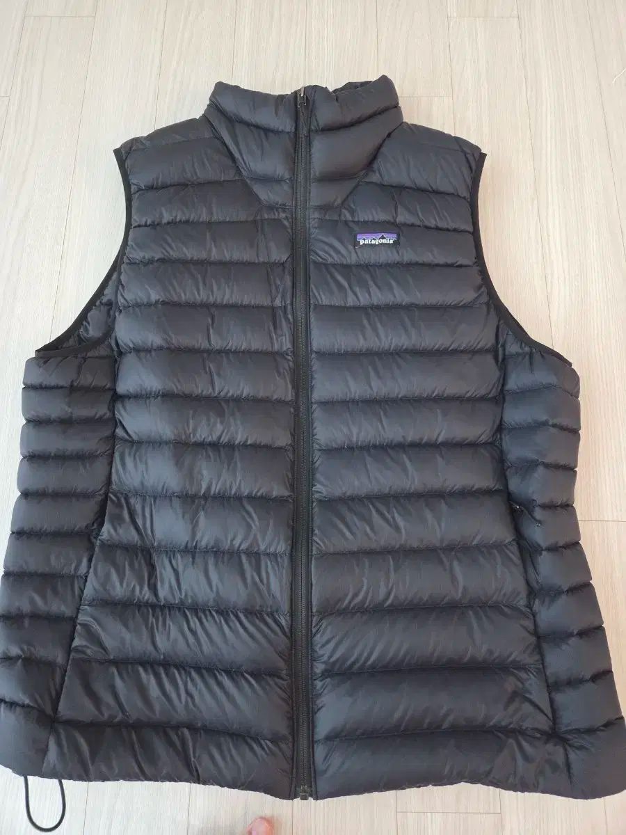 希少 2009製 patagonia ダウンセーターベスト パタゴニア Patagonia メンズ・ダウン・セーター・ベスト