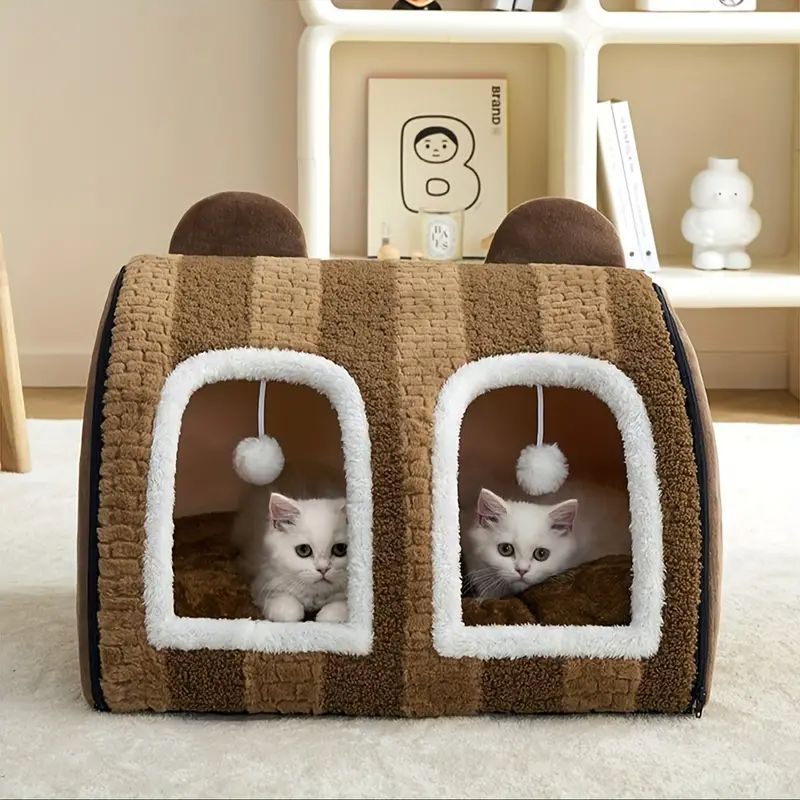 大型猫 多頭飼い