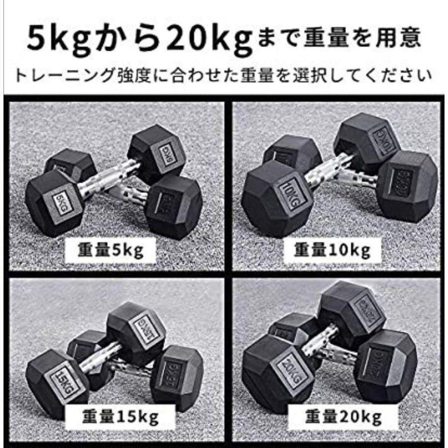 ダンベル10kg 2個セット 六角 筋力トレーニング 鉄アレイ621