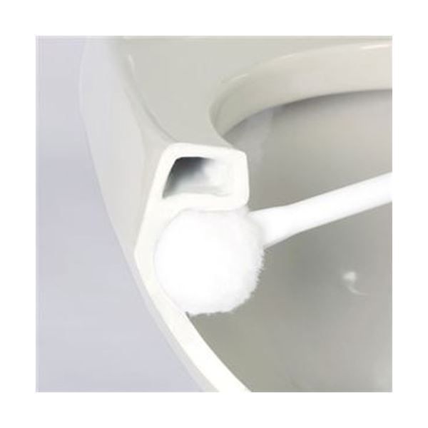 フロートトイレクリーナー