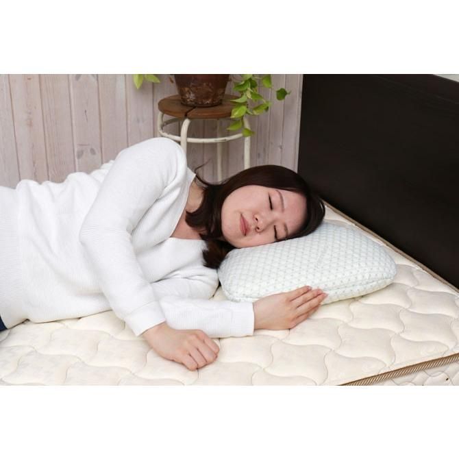 フランスベッド まくら ホテルズセレクト クイーンメモリーピロー 2個