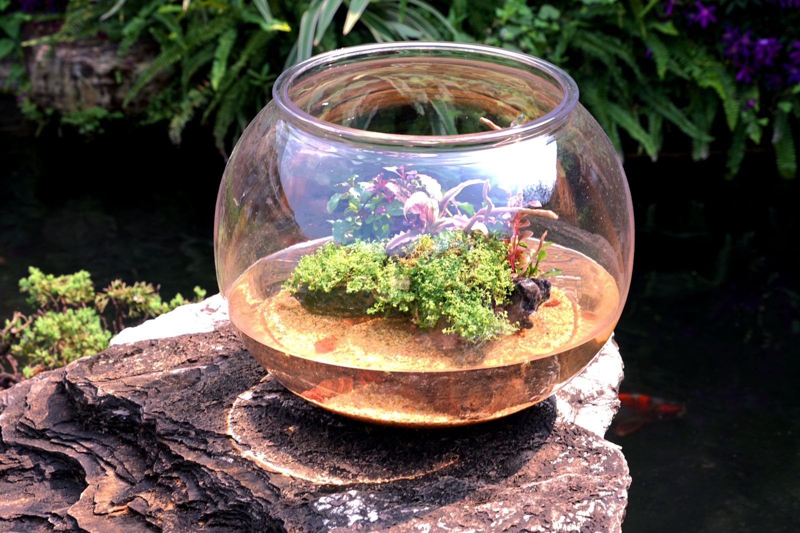 割れないガラス!?】ポリカーボネート製品：2300078