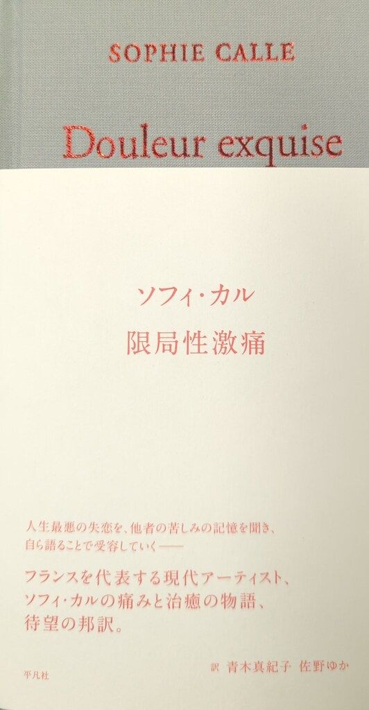 平凡社 ソフィ・カル 限局性激痛
