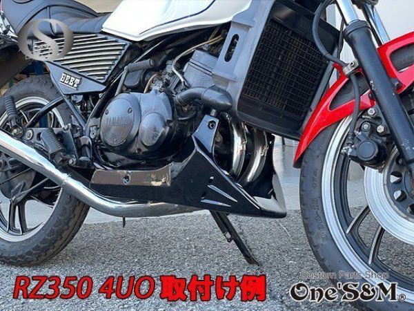 バイクアンダーカウル 黒　ツインダクトVer