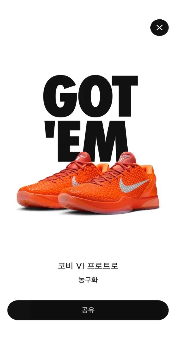 コービー 6 プロトロ オレンジ