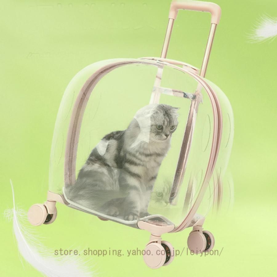 多機能 猫
