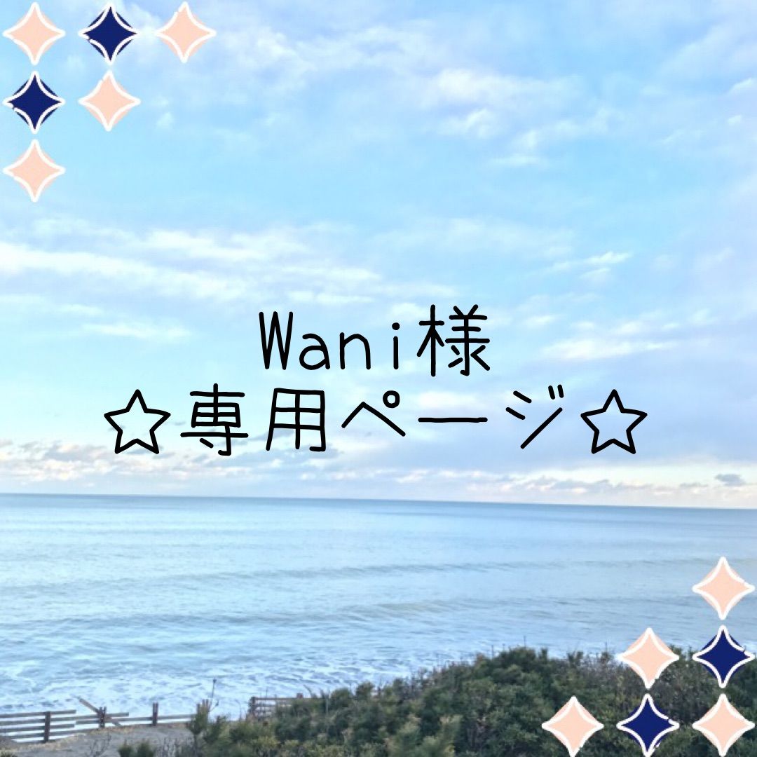 Wani様 ☆専用ページ☆ - メルカリ Wani様 ☆専用ページ☆ - メルカリ