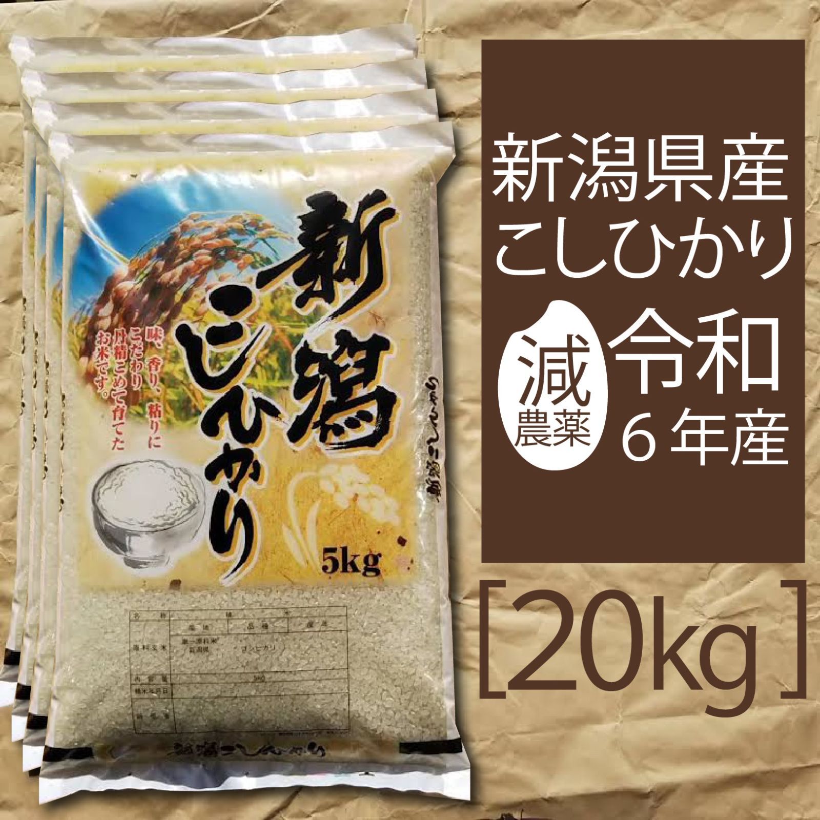 令和6年産 新潟産 コシヒカリ 20kg コシヒカリ 20キロ