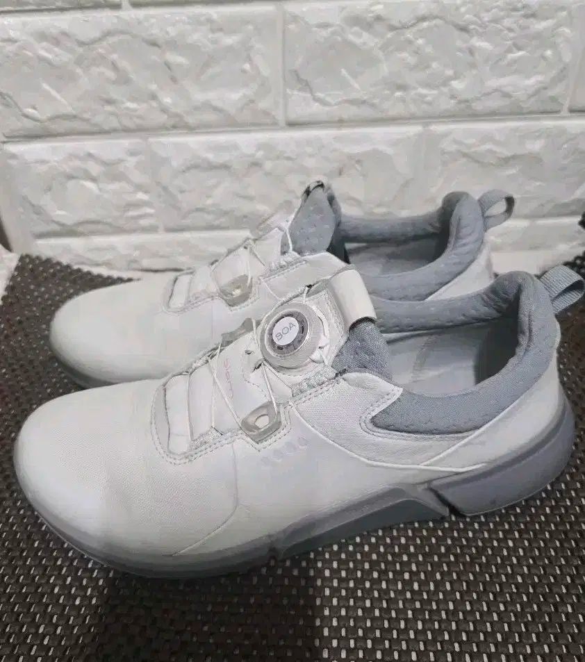 【雷市場（ポンジャン）商品韓国直送】Ecco(エコー) ボア メンズ ゴルフシューズ 245