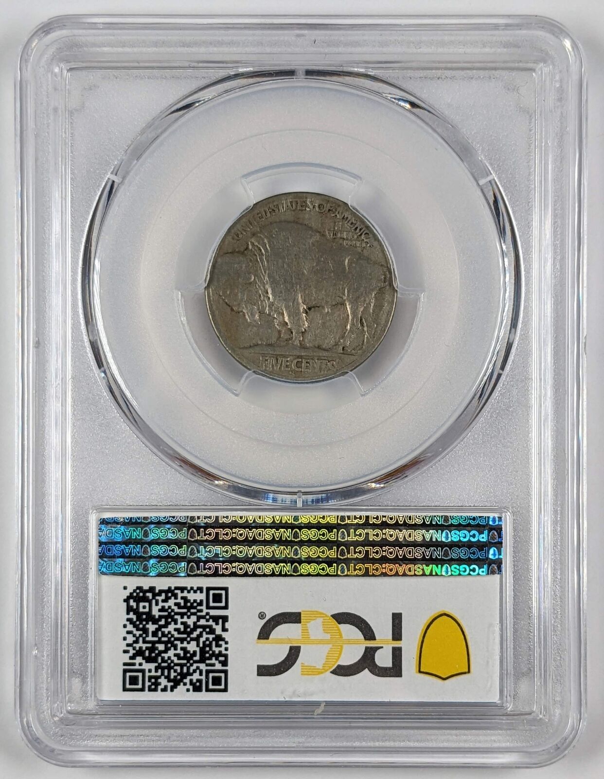 Buffalo Nickel