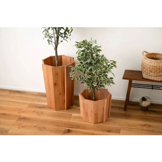 観葉植物入れ