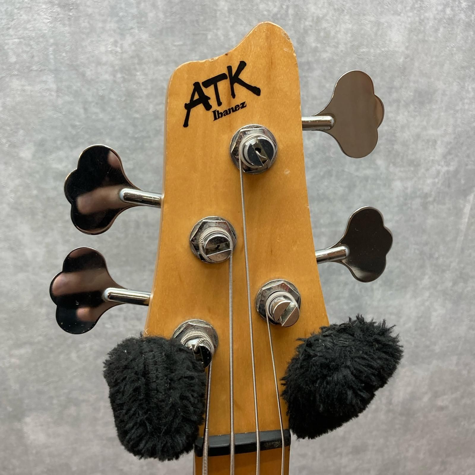 Ibanez アイバニーズ