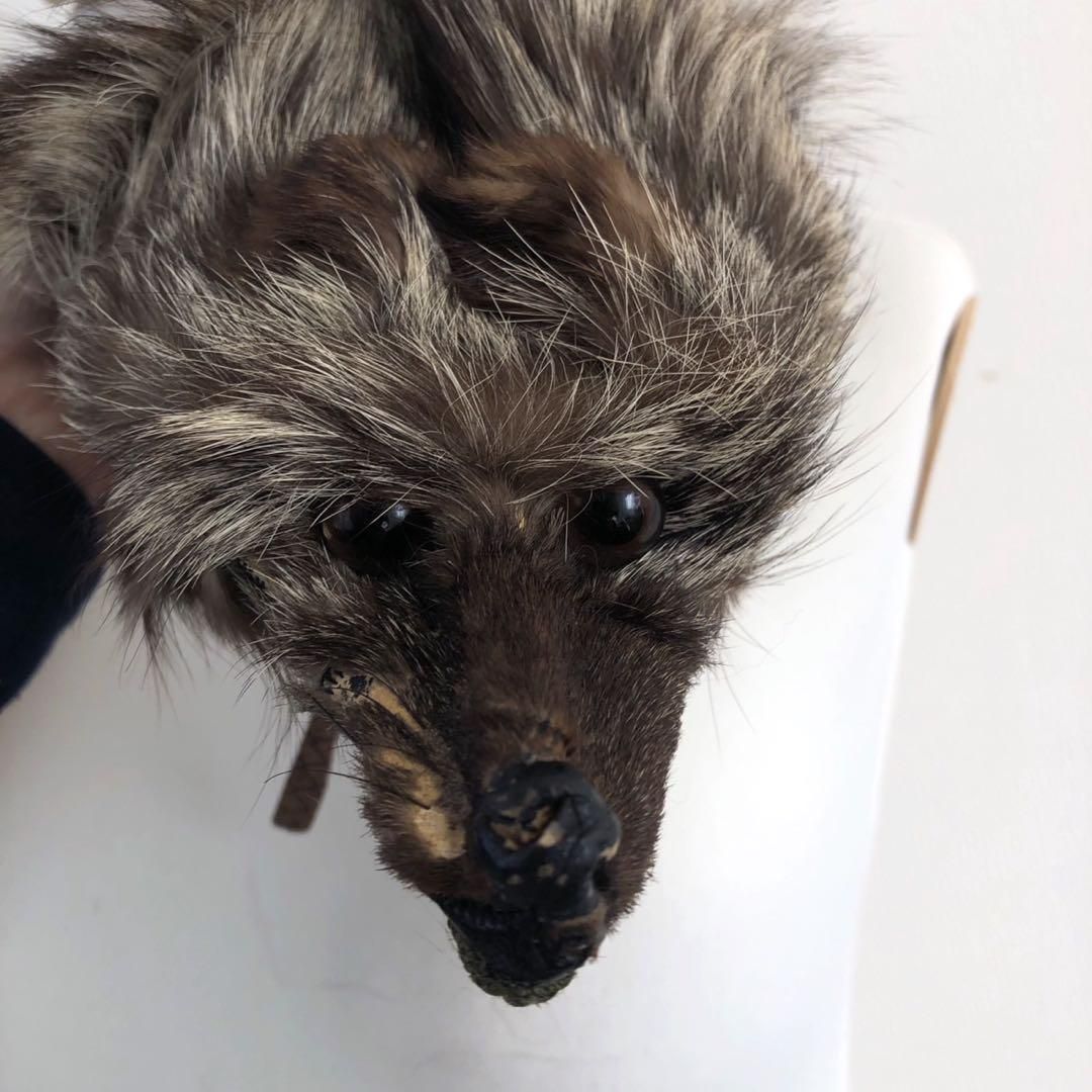 美品 毛皮 ミンク リアルファー マフラー キツネ 狐 ブラウン 成人式