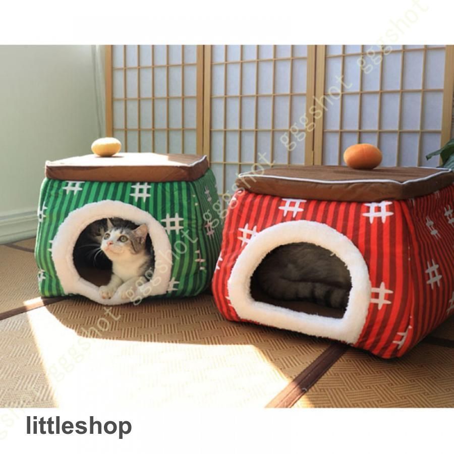 小型犬 小動物