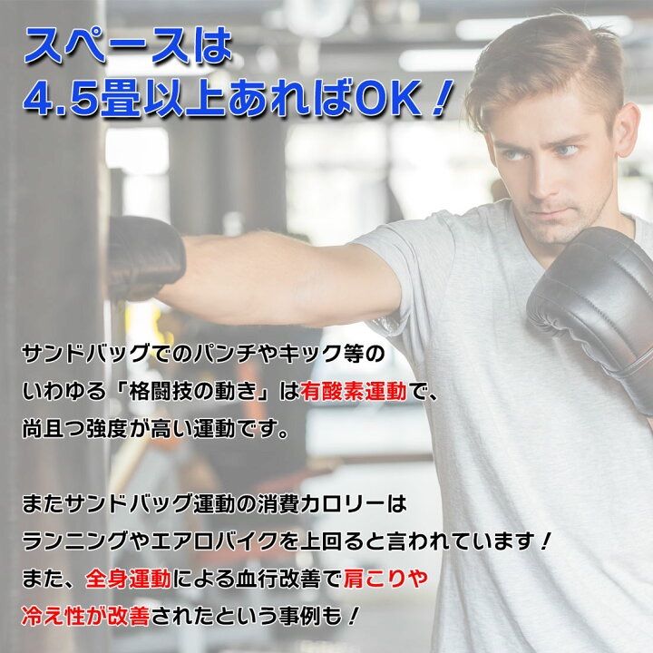 ボクシング 格闘技