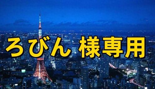 ろびん 様専用