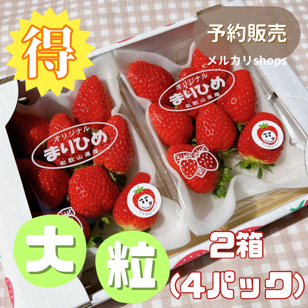 まりひめ いちご(箱込み約700g×2) 特大 12日発送 苺 イチゴ まりひめ いちご(箱込み約700g×3) 特大 21日発送 苺 イチゴ 【公式通販】