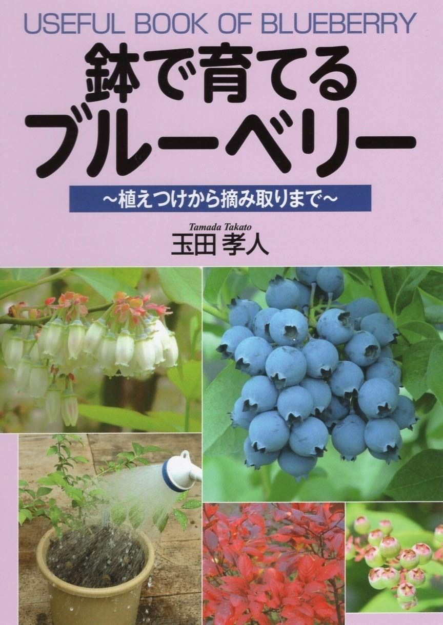 珍品ミス券】「金沢➡️福阪市井」 JR 金沢駅 平成10年12月3日発行