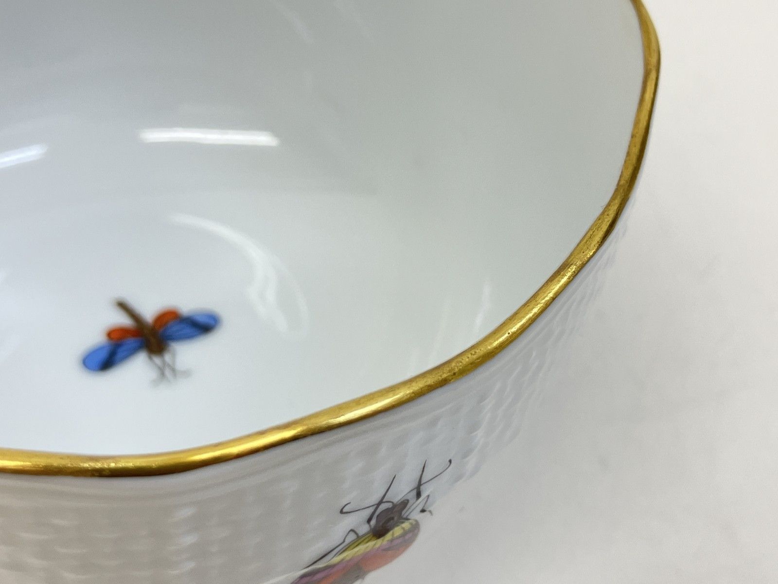 ロスチャイルドバード