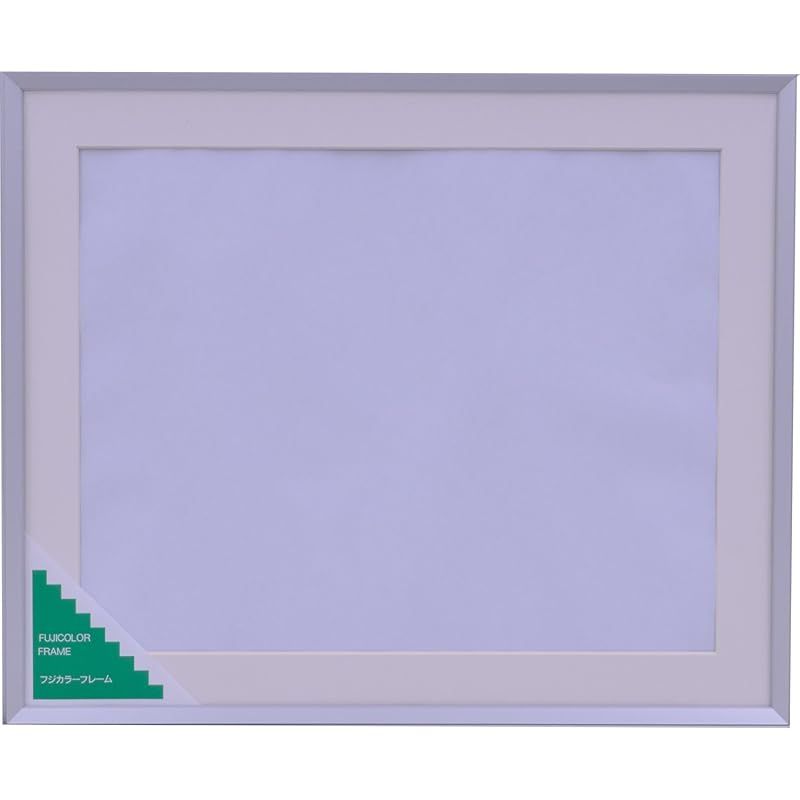 FUJICOLOR 額縁 A10N 全紙 アルミ シルバー