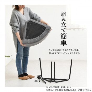 PLLITE