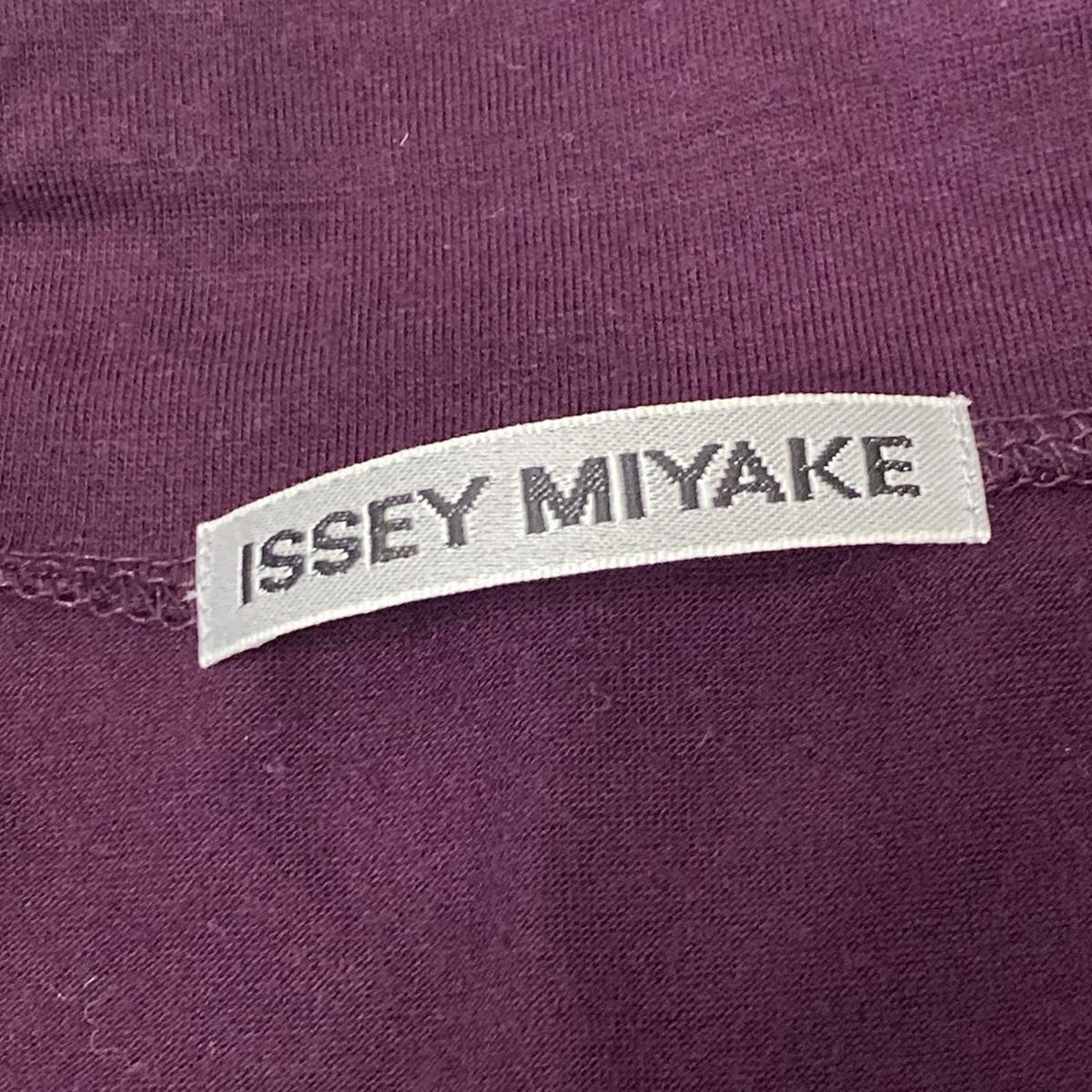 ISSEYMIYAKE(イッセイミヤケ) スカートセットアップ サイズ2 M