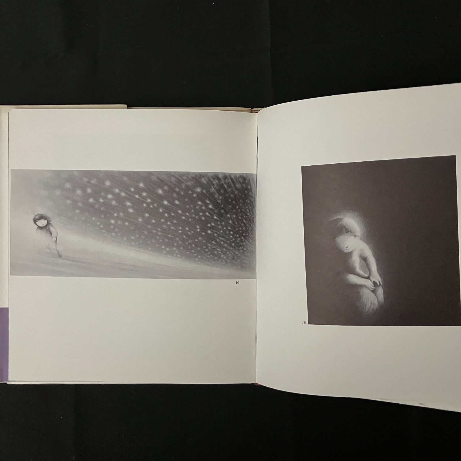 かなしいひかり : 味戸ケイコ画集 味戸ケイコ 著 講談社 64p (おもに図