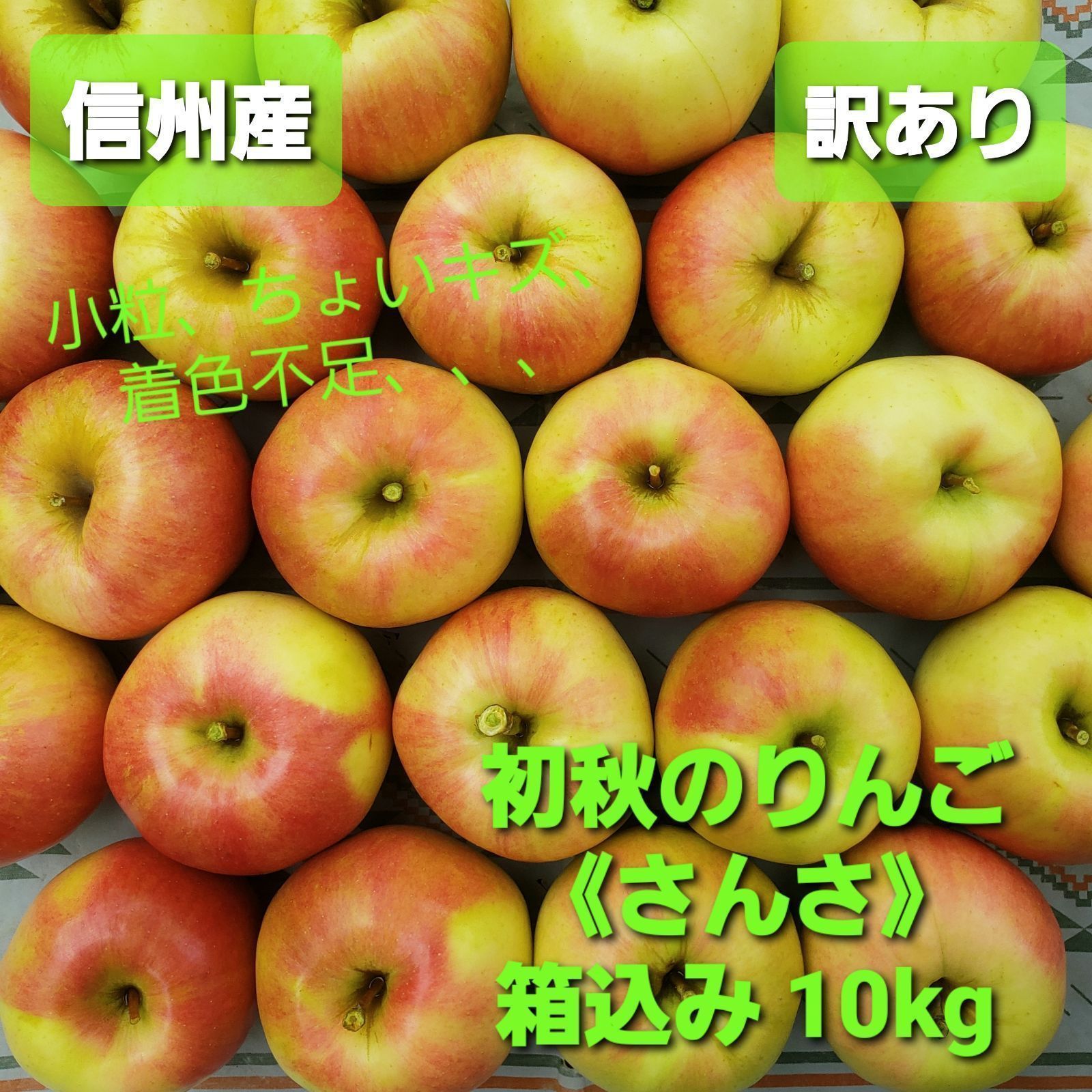 信州産］初秋のりんご《さんさ》［訳あり］箱込み10kg - メルカリ