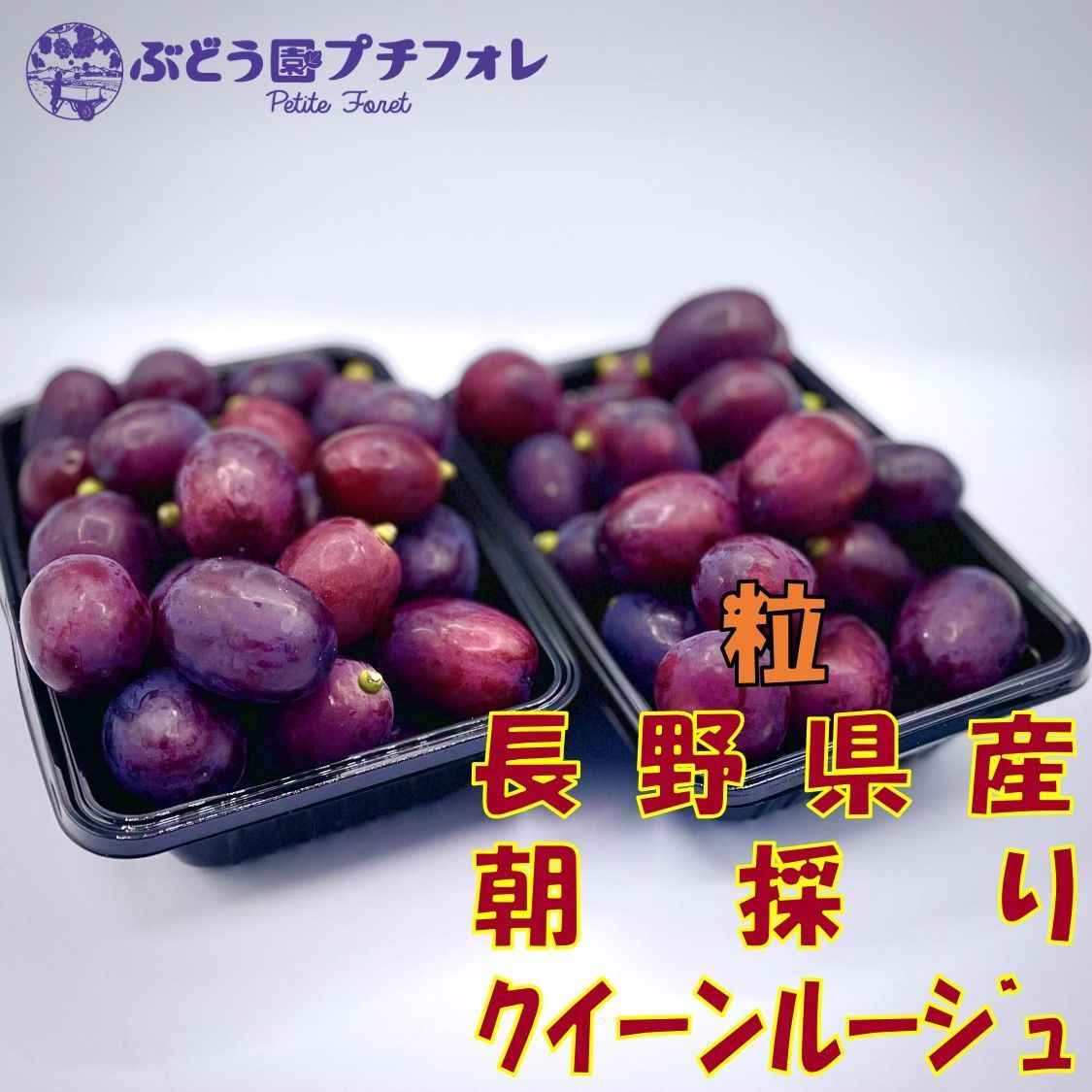 ②8月24日朝採り午前発送長野産クイーンルージュ約2.0kg ② 9