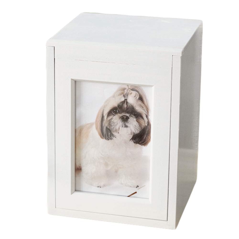 芭蕉・嵐雪・蕪村 論考／福本良二／和泉書院／初版 芭蕉・嵐雪・蕪村