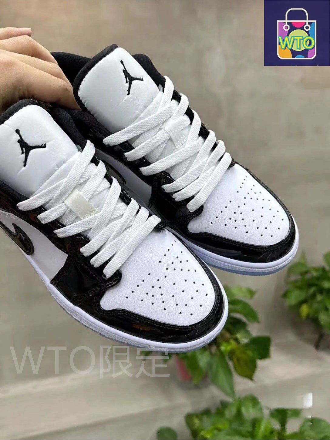 Concord 男女兼用-WTO輸入2