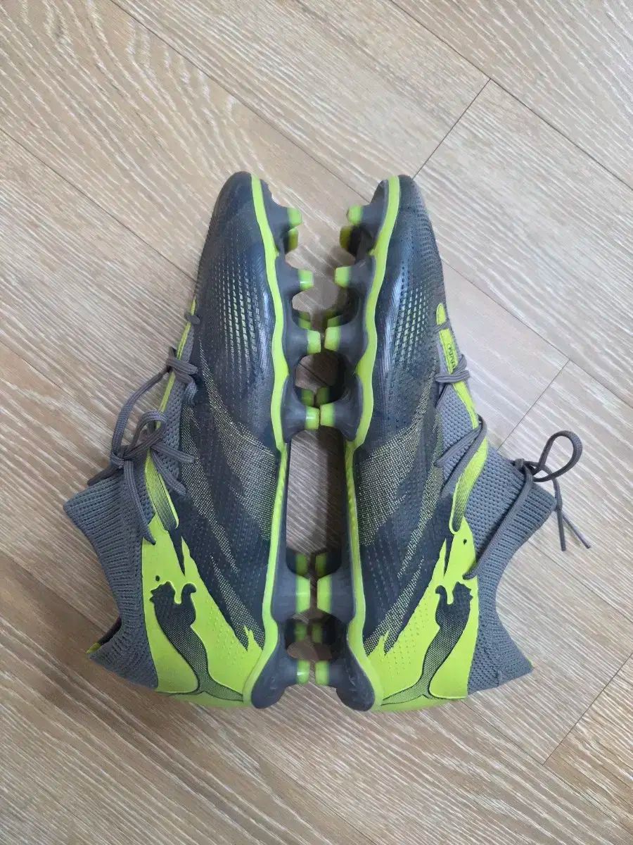 シュウ　0705 frroaddisc1sm_4.jpg