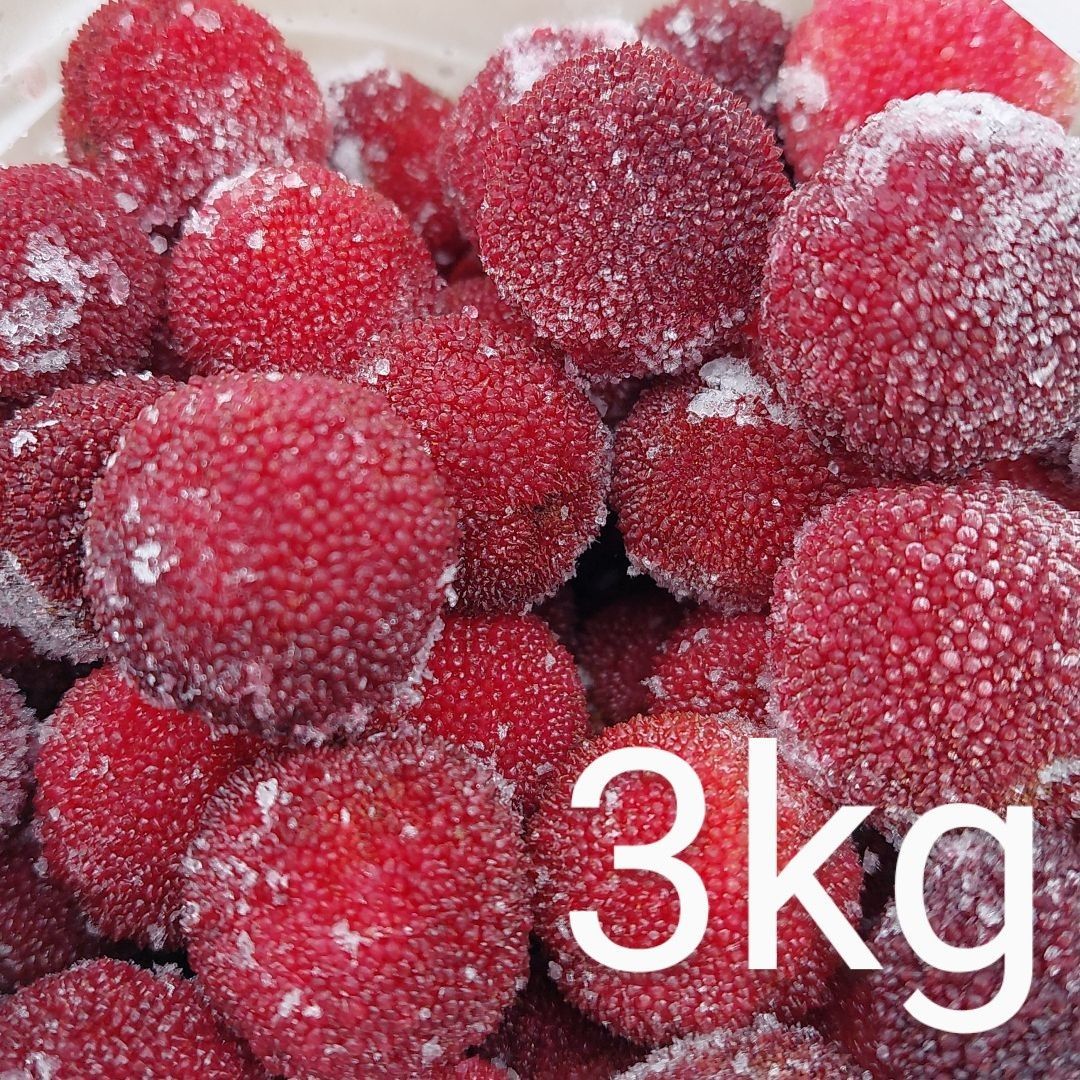 高知県産 やまもも 3kg 高知県産 完熟 冷凍 やまもも 3kg 小粒 - メルカリ